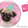 18″ / 46cm Party Pug Qualatex #57617